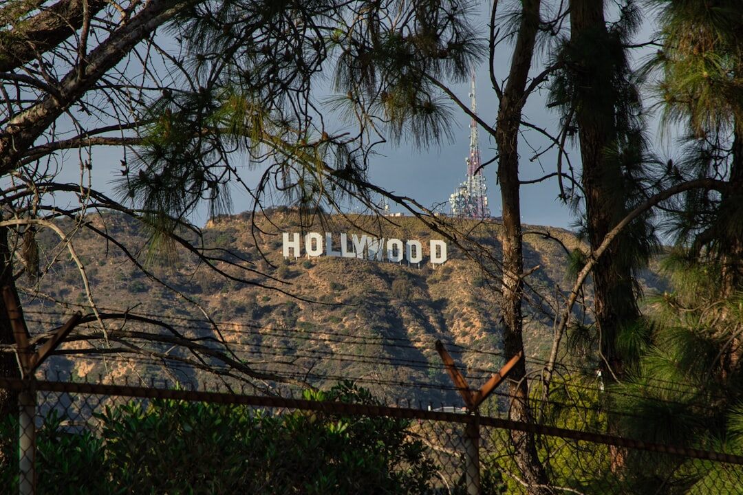hollywood stars hanging out